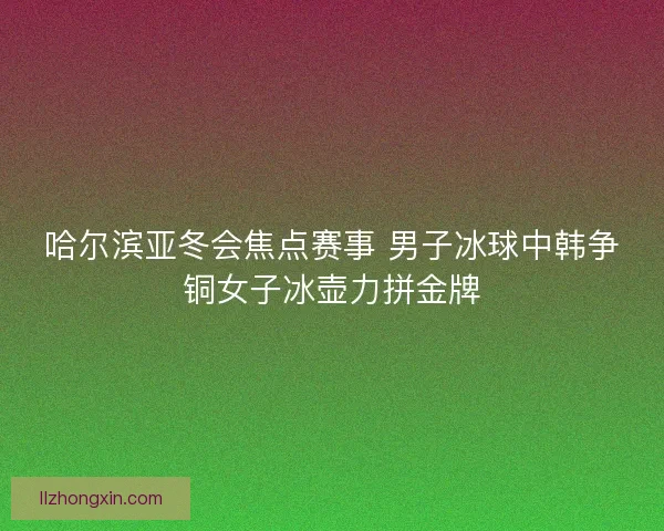哈尔滨亚冬会焦点赛事 男子冰球中韩争铜女子冰壶力拼金牌