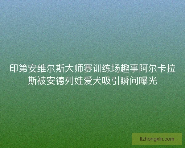 印第安维尔斯大师赛训练场趣事阿尔卡拉斯被安德列娃爱犬吸引瞬间曝光