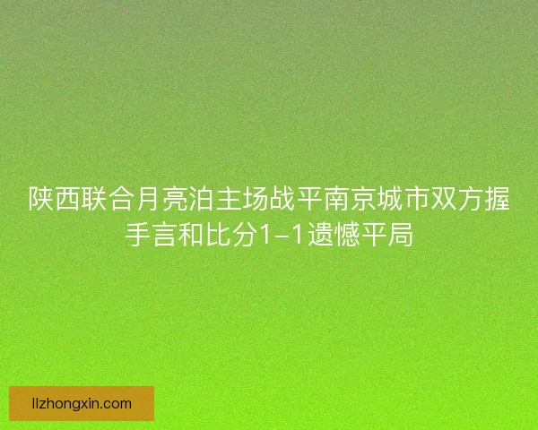 陕西联合月亮泊主场战平南京城市双方握手言和比分1-1遗憾平局